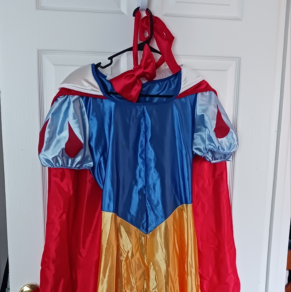 Snow white costume